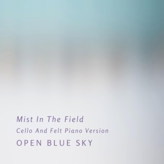 Mist In The Field (Cello And Felt Piano Version)