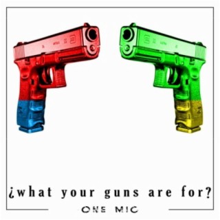 What Your Guns Are For?