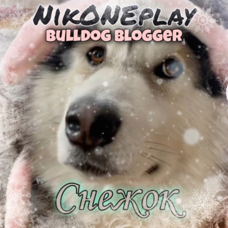 Снежок ft. Bulldog Blogger | Boomplay Music