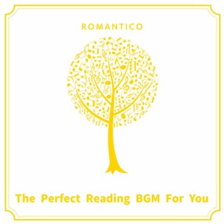 The Perfect Reading Bgm for You