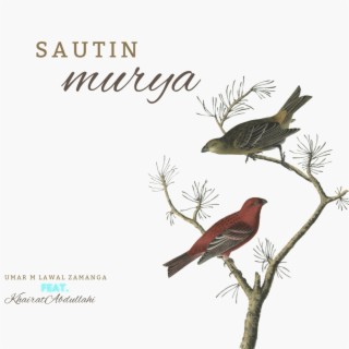 Sautin murya