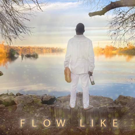 FLOW LIKE | Boomplay Music