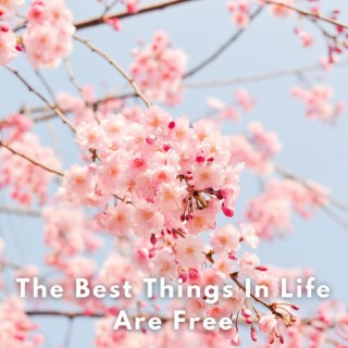 The Best Things In Life Are Free