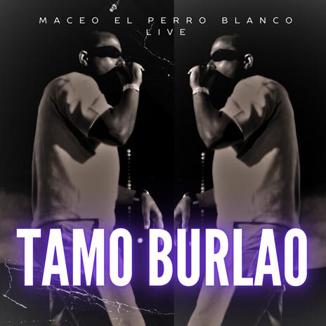 tamo burlao (live) | Boomplay Music