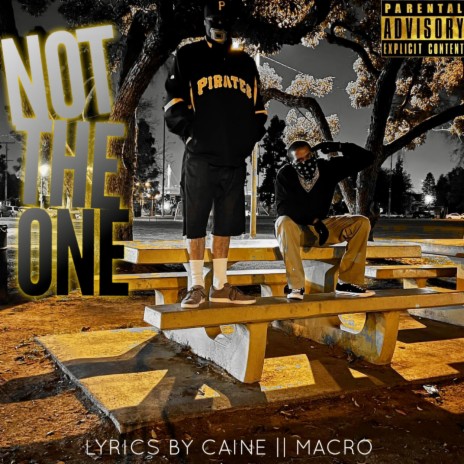 Not The One ft. Macro | Boomplay Music