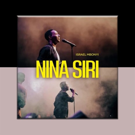 Nina Siri (Acoustic) (Remix)