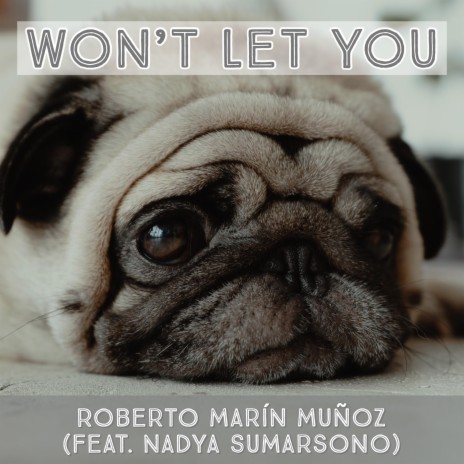 Won't Let You (feat. Nadya Sumarsono) | Boomplay Music