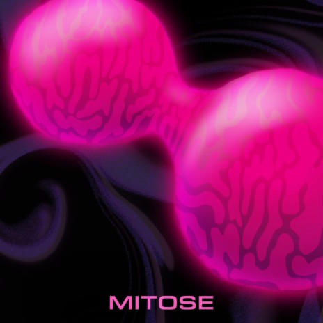 Mitose ft. Memoza