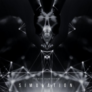 Simulation