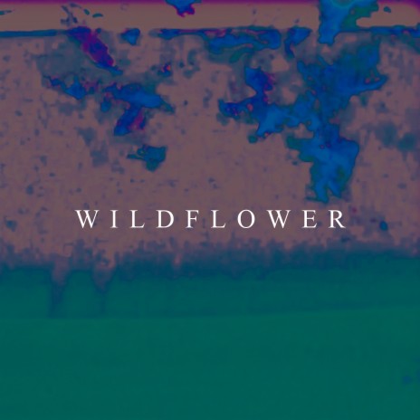 Wildflower | Boomplay Music