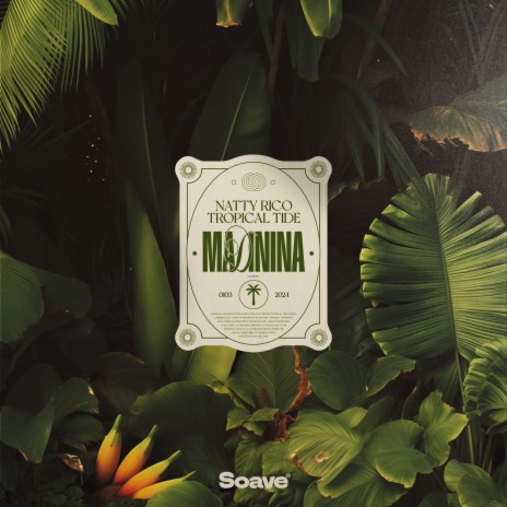 Madinina ft. Tropical Tide | Boomplay Music