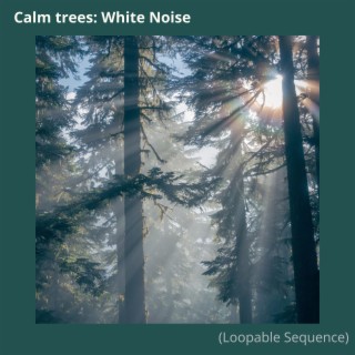 Calm trees: White Noise (Loopable Sequence)