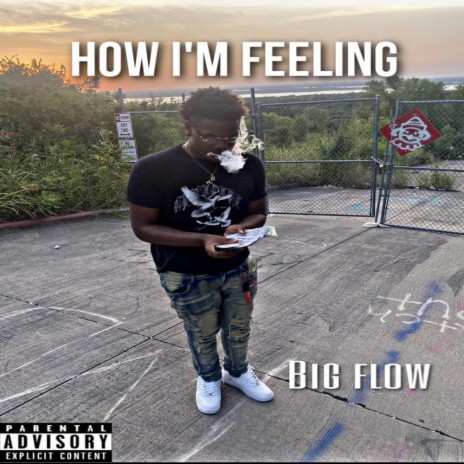 How Im Feeling | Boomplay Music