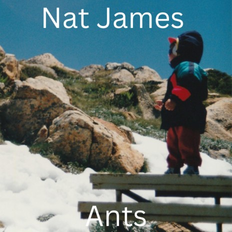 Ants