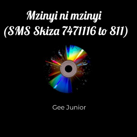Mzinyi Ni Mzinyi (Sms Skiza 7471116 to 811) | Boomplay Music