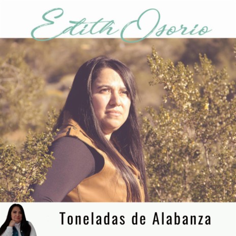 Toneladas de Alabanza | Boomplay Music