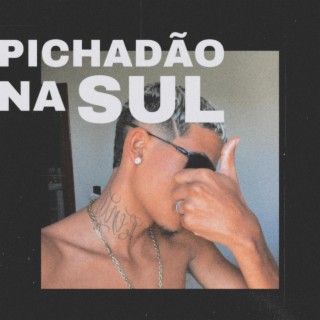 pichadão na sul