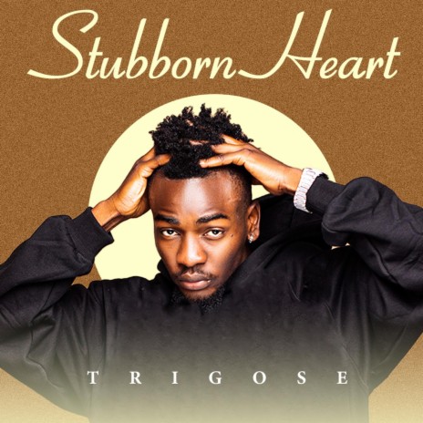 Stubborn Heart | Boomplay Music