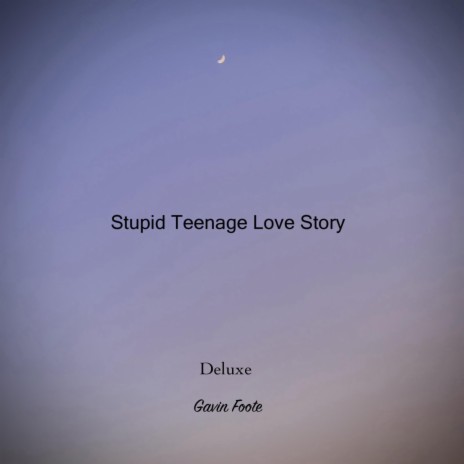Stupid Teenage Love Story (ReRecord)