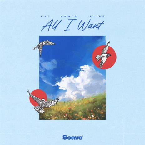 All I Want ft. Namté & Iuliss | Boomplay Music