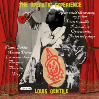 The Operatic Experience