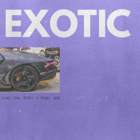 Exotic ft. REBEL DON | Boomplay Music