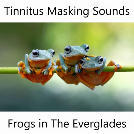 Tinnitus Masking Sounds Frogs in The Everglades | Boomplay Music