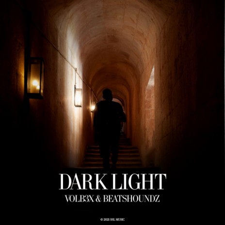 Dark Light (Original Mix) ft. Beatshoundz
