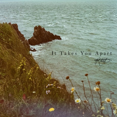 It Takes You Apart | Boomplay Music