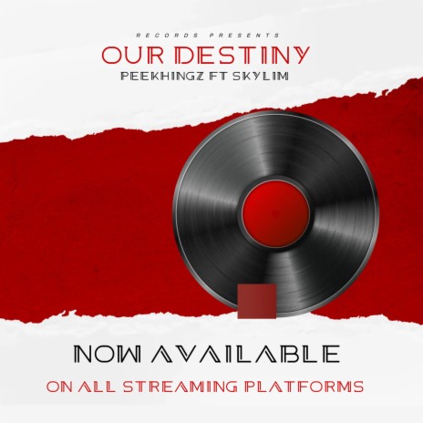 Our Destiny ft. Skylim | Boomplay Music