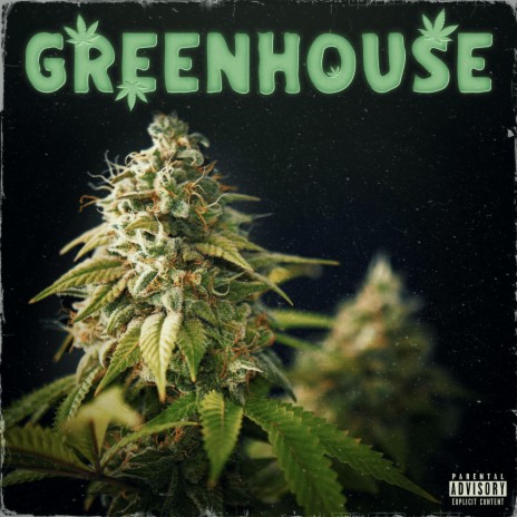 Greenhouse | Boomplay Music