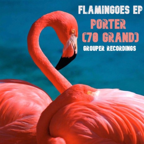 Flamingoes | Boomplay Music