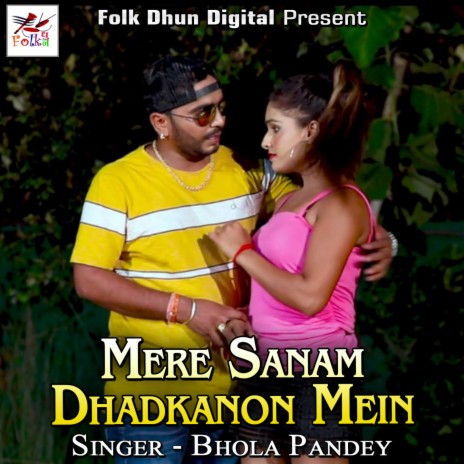 Mere Shyam Sarkar | Boomplay Music