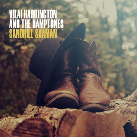 Hole In My Heart ft. Adam Bachman & Vilai Harrington & The Hamptones | Boomplay Music