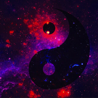 Yin Y Yang