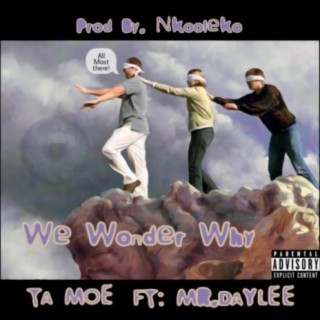 We Wonder Why (feat. Mr.Daylee)