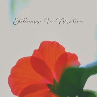 Stillness in Motion