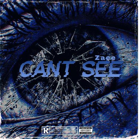 Cant See | Boomplay Music