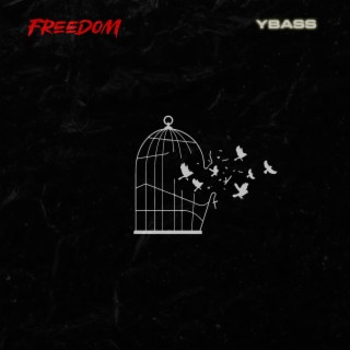 freedom lyrics | Boomplay Music