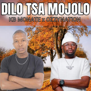 Dilo tsa Mojolo