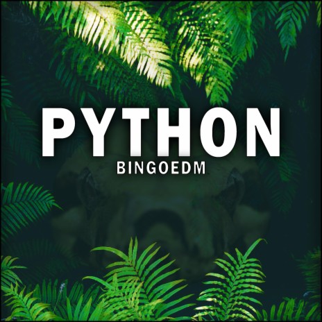 Python | Boomplay Music