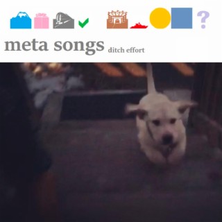 Meta Songs