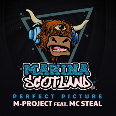Perfect Picture (Original Mix) ft. MC Steal