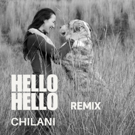 Hello Hello (Remix) | Boomplay Music
