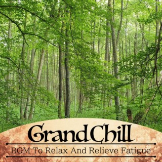 Bgm to Relax and Relieve Fatigue