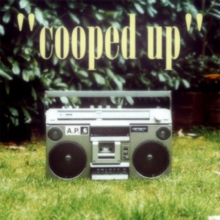 Cooped Up lyrics | Boomplay Music