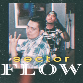 Sector Flow