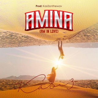 Amina (Am In Love)