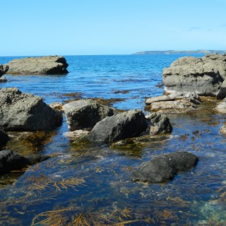 Rock Pool