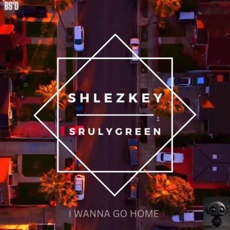 I wanna go home ft. Sruly Green | Boomplay Music
